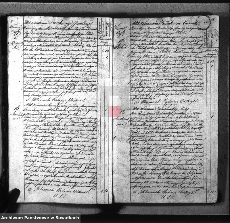image.from.unit.number "Akta urodzonych gminy wiżańskiey obwodu seyneńskiego, w województwie augustowskim od dnia 1-go stycznia do dnia 31 grudnia 1824 roku"