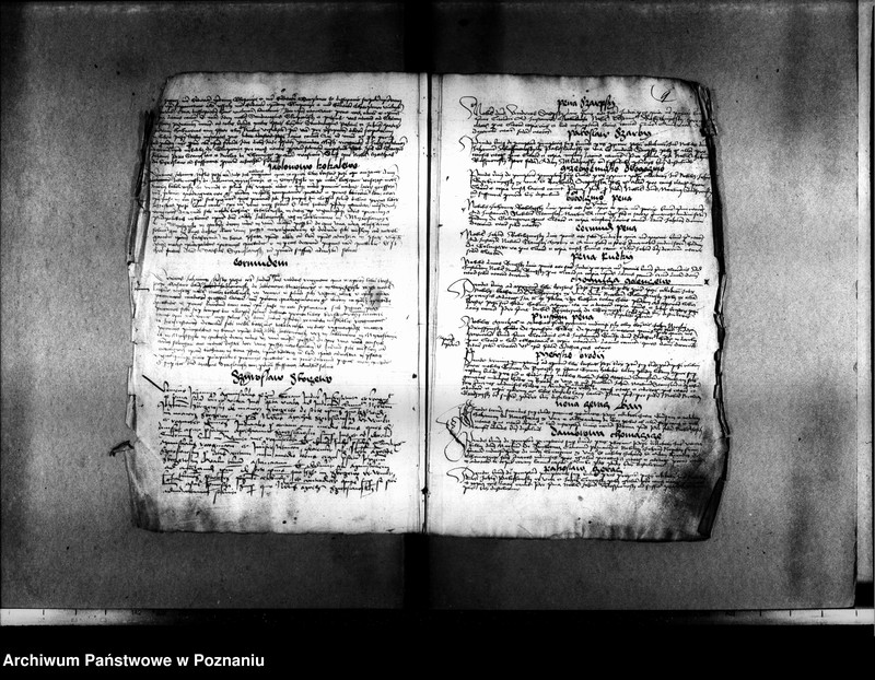 Obraz 13 z jednostki "Resignationes ,inscriptiones, relationes, decreta [protocollon]"