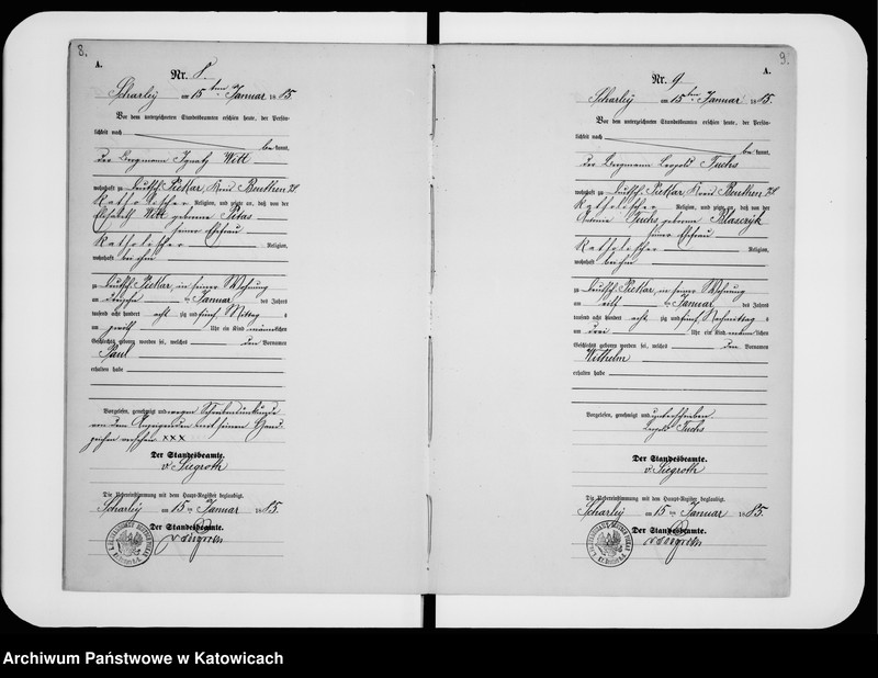 image.from.unit.number "Księga urodzeń nr 1-196"