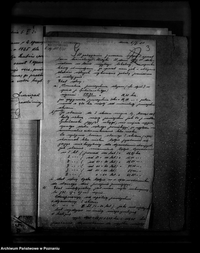 Obraz 7 z jednostki "Gospodarka leśna kościoła katolickiego Wieszki powiat szubiński"