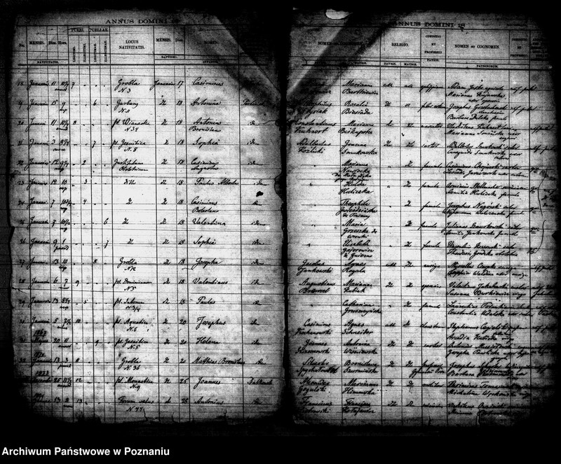 Obraz 3 z jednostki "Księga urodzin"