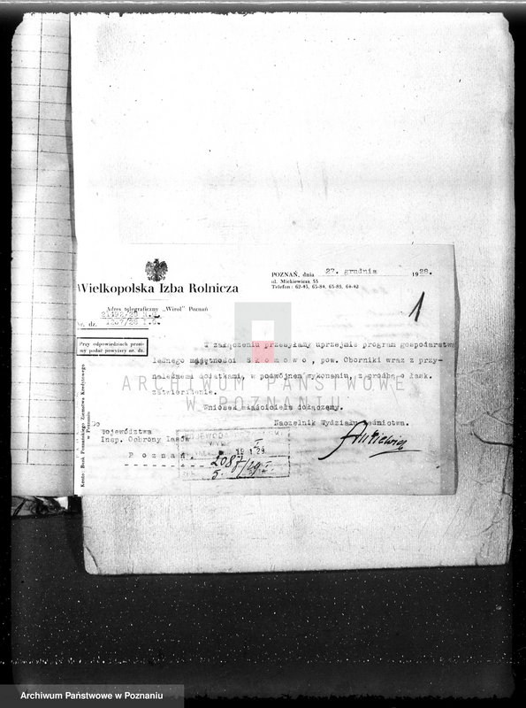 Obraz 5 z jednostki "Las majętność Słomowo-Pacholewo powiat obornicki"