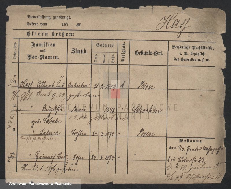 Obraz 5 z jednostki "Haas - Hatwig"