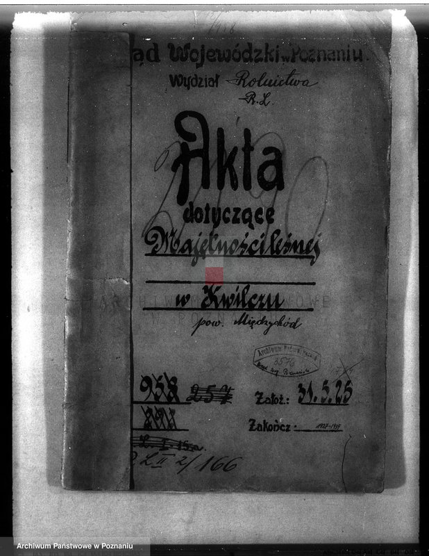 Obraz 4 z jednostki "Majętność leśna w Kwilczu w powiecie międzychodzkim"