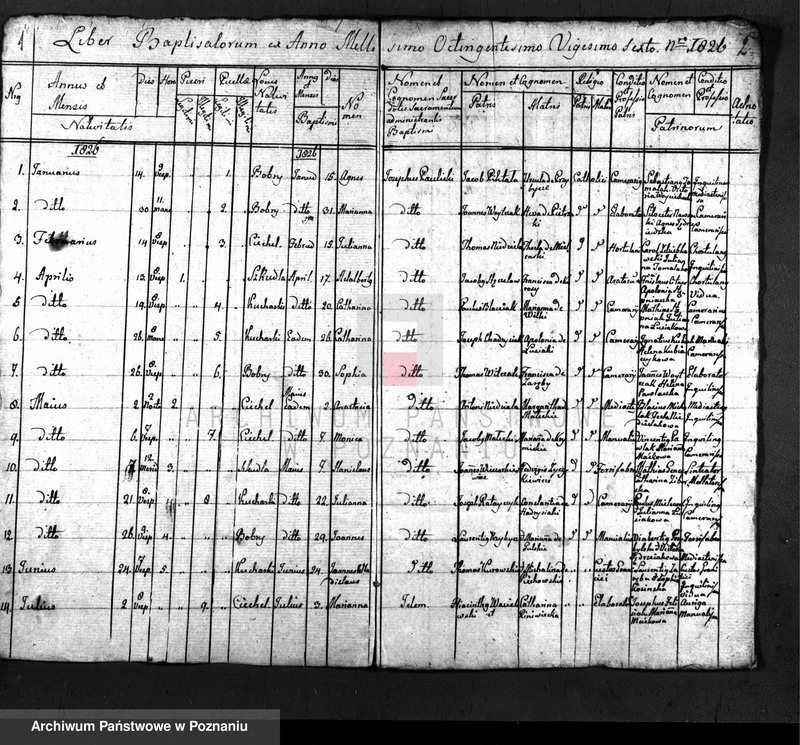 image.from.unit.number "Duplikaty urodzeń, ślubów i zmarłych"