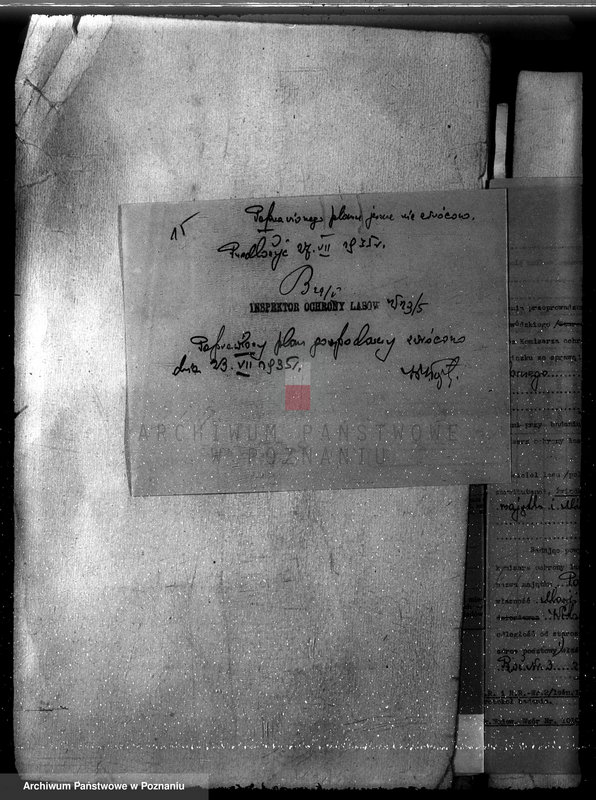 Obraz 19 z jednostki "Majętność leśna w Parzęcinie powiat kościański"