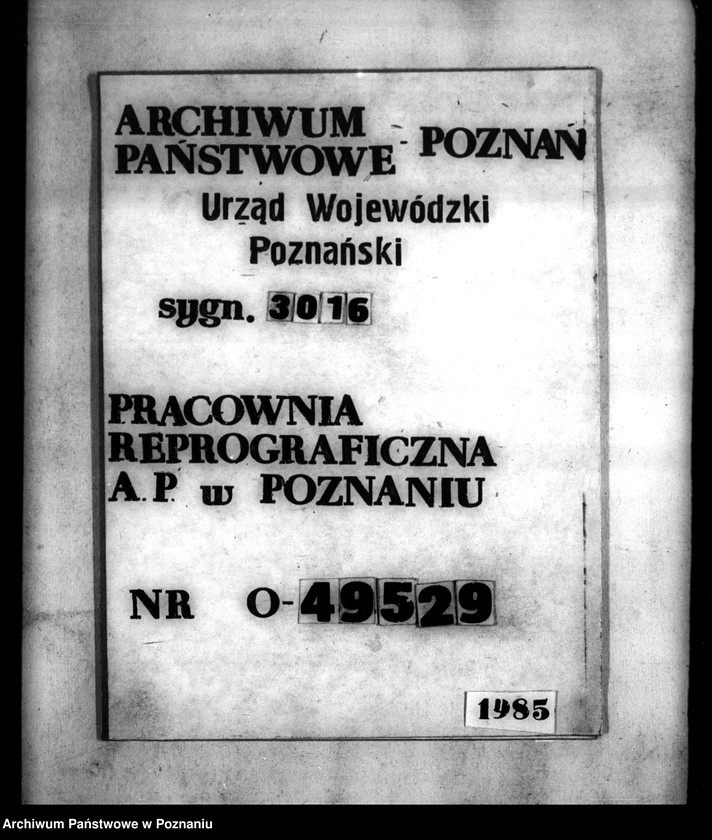 Obraz 1 z jednostki "Majątek Łobżenice powiatu wyrzyskiego wydzielenie zastrzeżonych parcel"