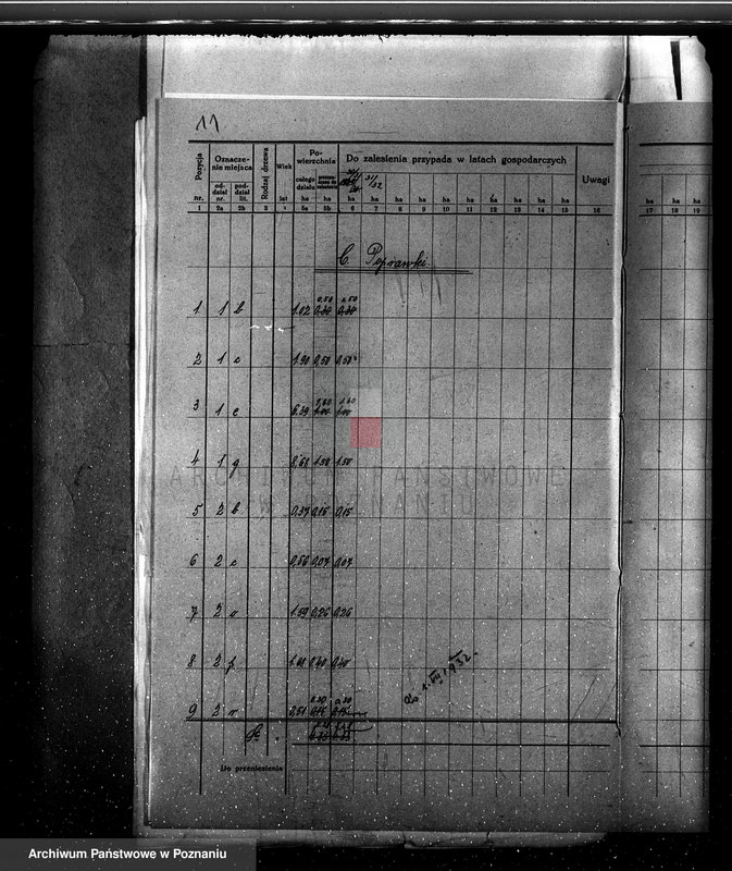 Obraz 15 z jednostki "Plan urządzenia gospodarstwa leśnego dla lasu majętności Lusówko powiat poznański 1930-1940"