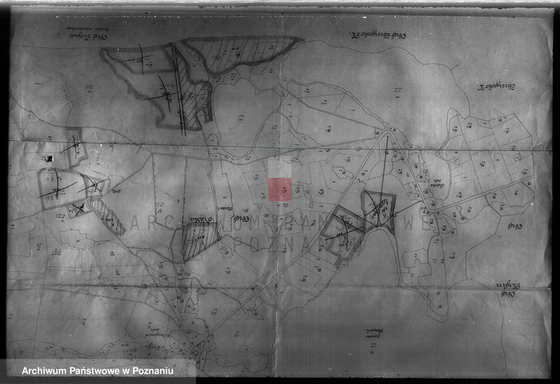 Obraz 9 z jednostki "Dodatkowy plan urządzenia gospodarstwa leśnego majątku Śródka powiat międzychodzki"