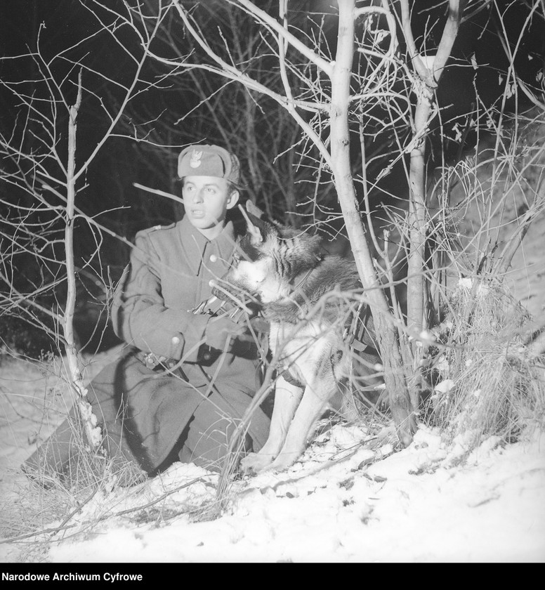 Obraz 6 z kolekcji "Z życia Wojska Polskiego - WAF111"