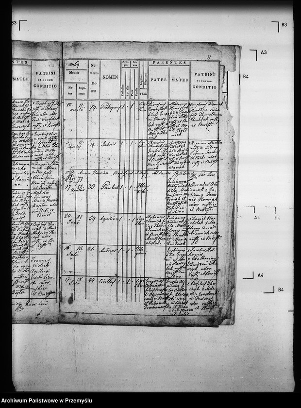 Obraz 13 z jednostki "[Kopie ksiąg metrykalnych parafii Berest z filią Polany (dekanat Grybów)]"