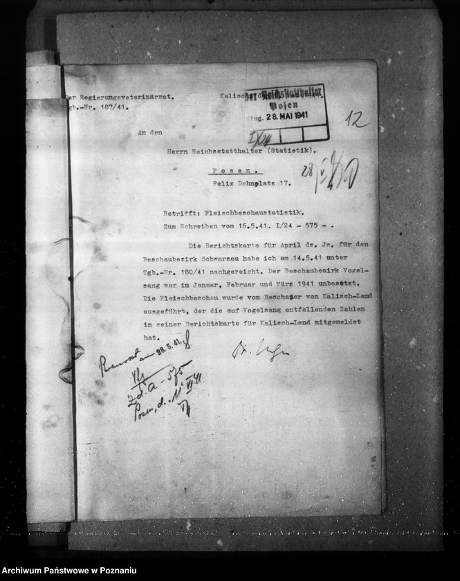 Obraz 16 z jednostki "Statistik über Fleischbeschau und Schlachtungen"