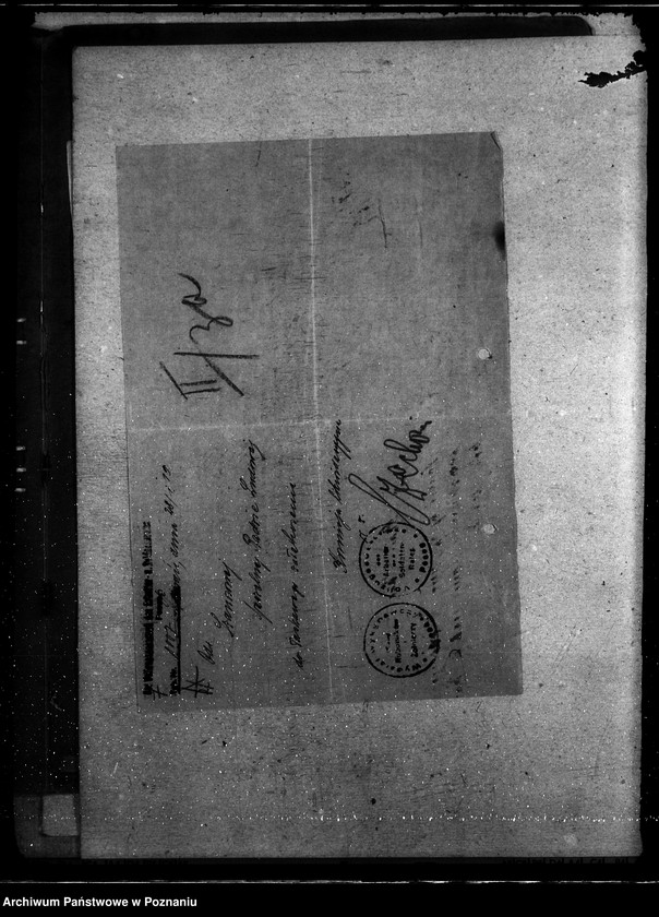 Obraz 11 z jednostki "Informacja o rolnictwie"