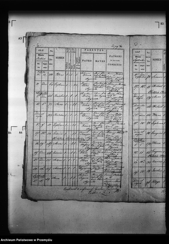 Obraz 10 z jednostki "[Kopie ksiąg metrykalnych parafii Zawadów (dekanat Niemirów)]"