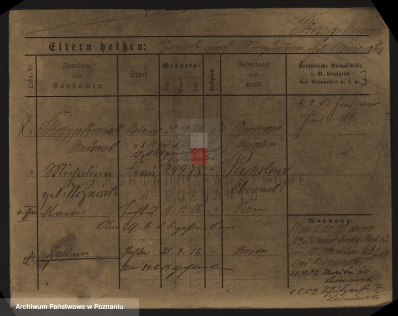 Obraz 9 z jednostki "Skrzypkowiak - Skórnik"