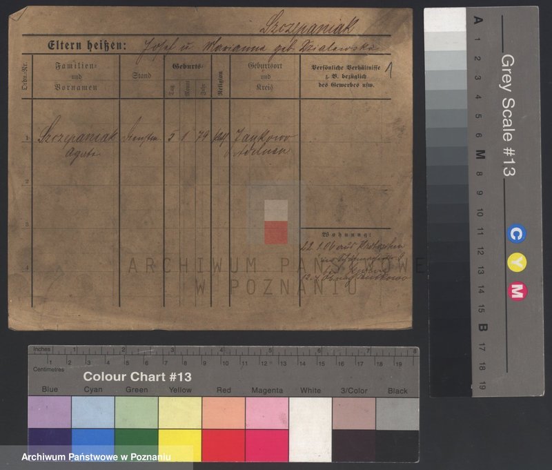 image.from.unit.number "Szczepaniak (samotne kobiety) - Szczepański"