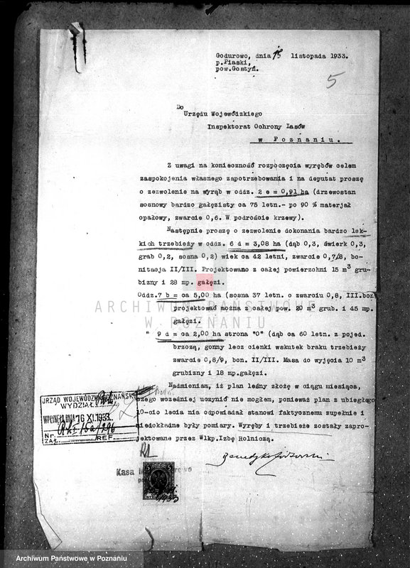 Obraz 9 z jednostki "Majętność leśna Godurowo w powiecie gostyńskim"