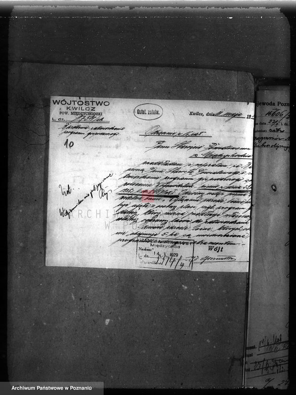 Obraz 14 z jednostki "Majętność leśna Niemierzewo w powiecie międzychodzkim"