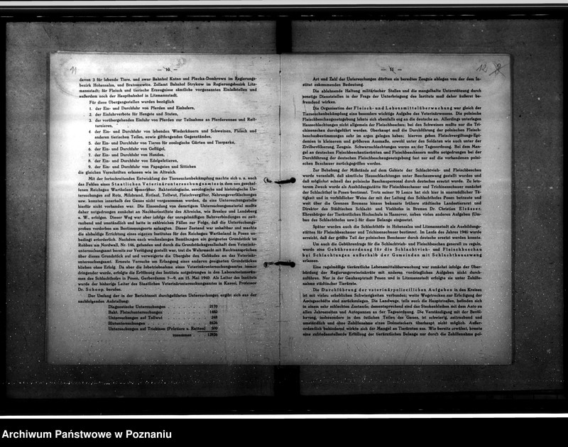 Obraz 13 z jednostki "Jahresveterinärberichte"