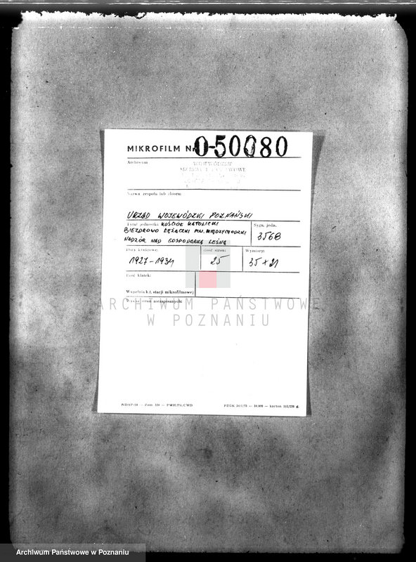 Obraz 2 z jednostki "Kościół katolicki Biezdrowo Łężeczki powiat międzychodzki /nadzór nad gospodarką leśną/"