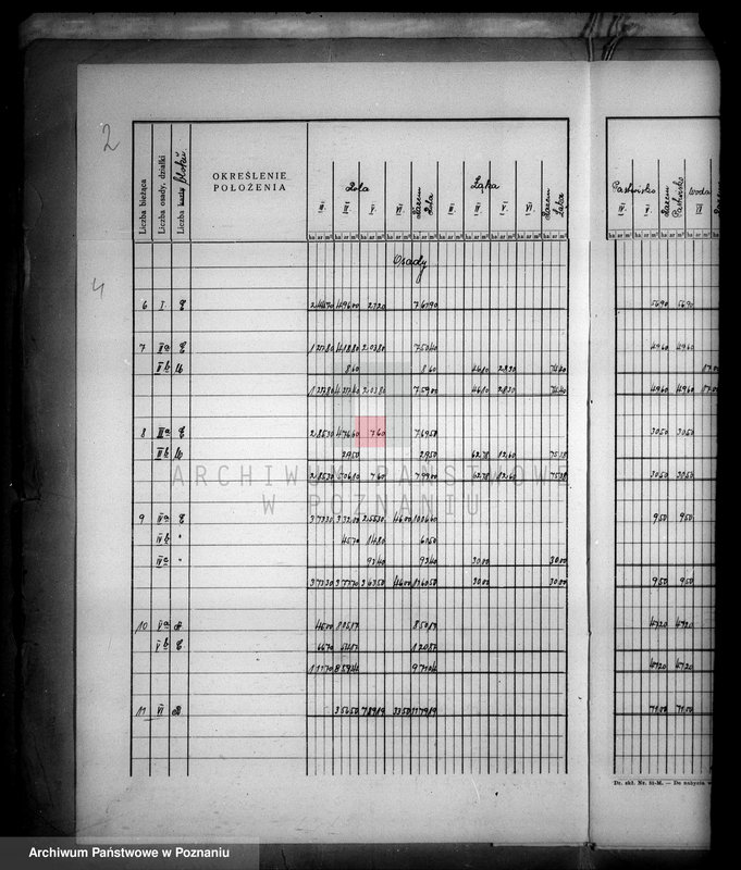 Obraz 8 z jednostki "Tymczasowy rejestr pomiarowy majątku Trzeboń powiatu wyrzyskiego"