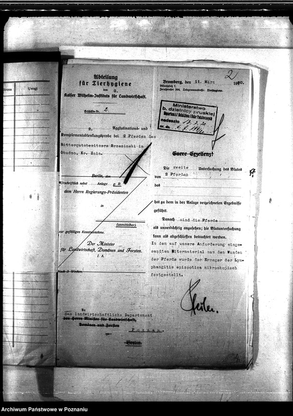 Obraz 6 z jednostki "Nosacizna - Żnin"