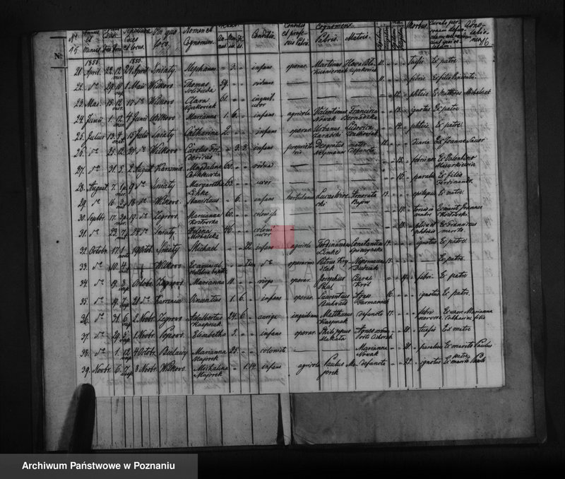 image.from.unit.number "Liber baptisatorum, copulatorum, mortuorum"