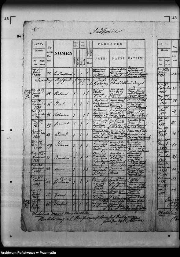 Obraz 19 z jednostki "[Kopie ksiąg metrykalnych parafii Rajtarowice z filiami Rogóźno, Sadkowice (dekanat Mościska)]"