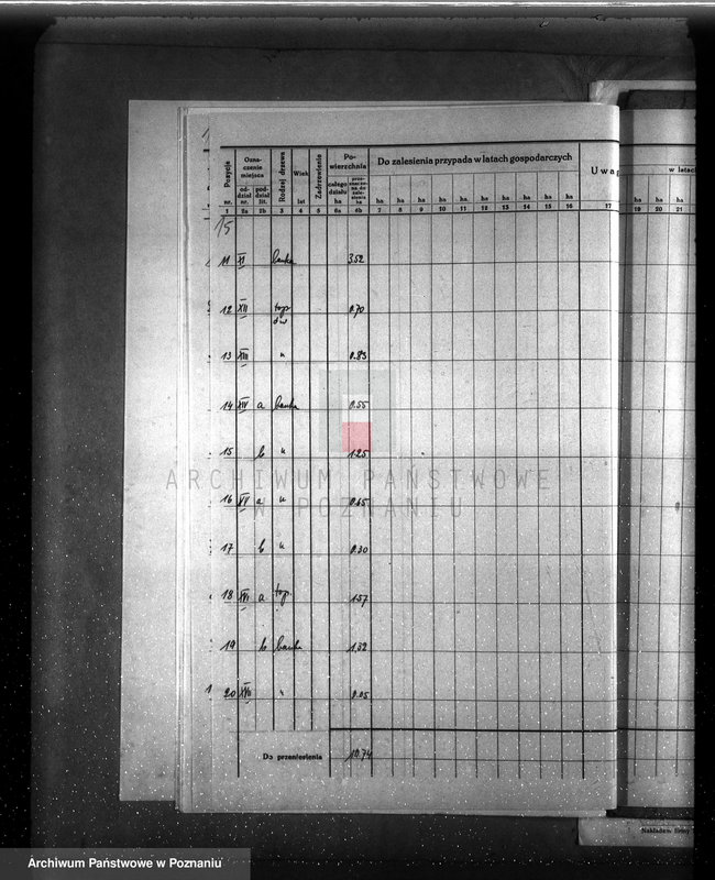 Obraz 19 z jednostki "Dodatkowy plan urządzenia gospodarstwa leśnego dla lasu majętności Grzuszyn powiat szamotulski"