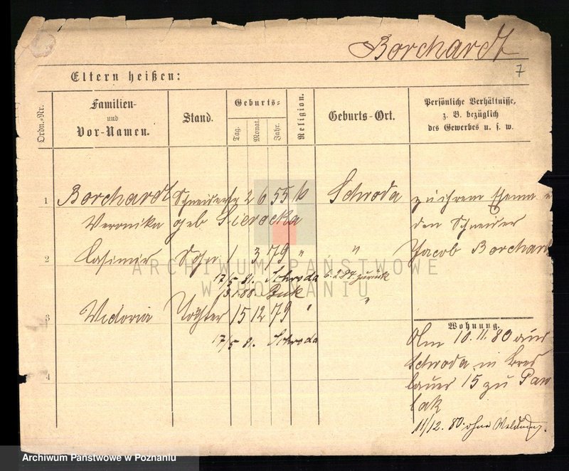 Obraz 9 z jednostki "Borchard - Bornakowski"