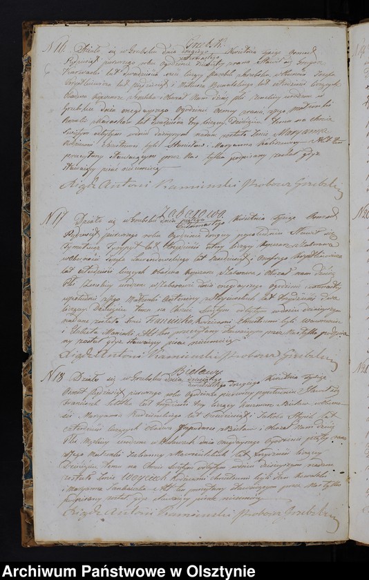 image.from.unit.number "Duplikat Aktów Urodzenia, Zaślubień, Zeyścia za Rok 1851 z Parafij Grzebskiey"