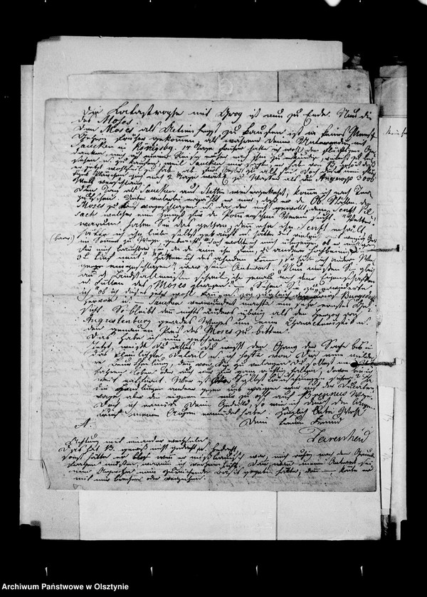 image.from.unit.number "/Hippologisches II. Korrespondenz betr. Pferde/"