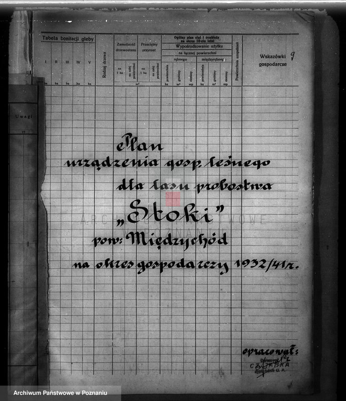 Obraz 13 z jednostki "Probostwo Stoki" powiat międzychodzki plan urządzenia gospodarstwa leśnego"