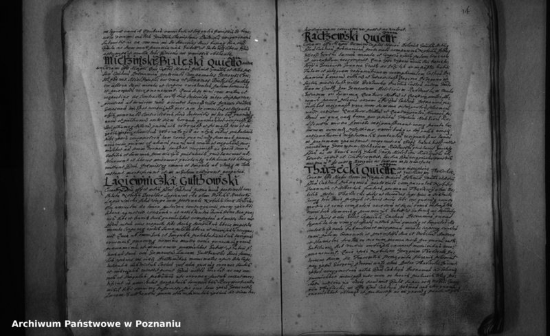 Obraz 20 z jednostki "Inscriptiones [inducta]"