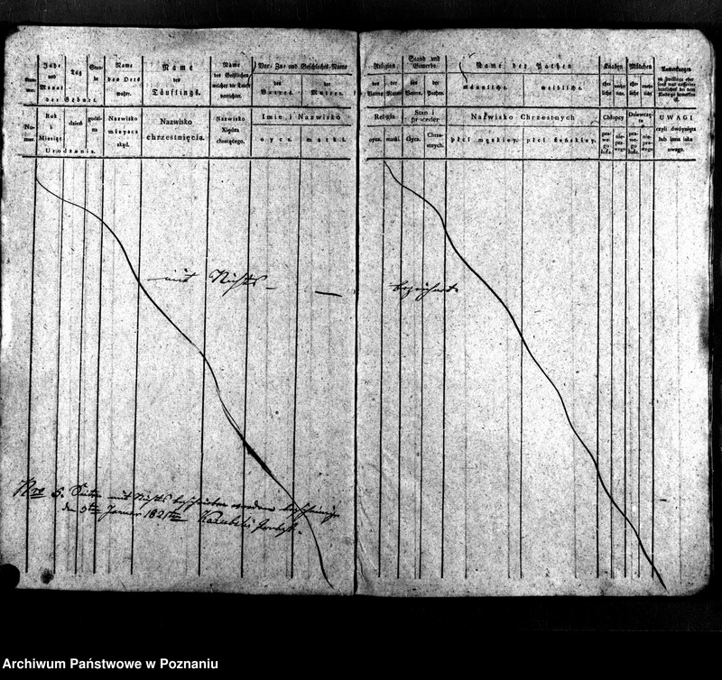 image.from.unit.number "Duplikat der Geborenen, Getrauten, Verstorbene"