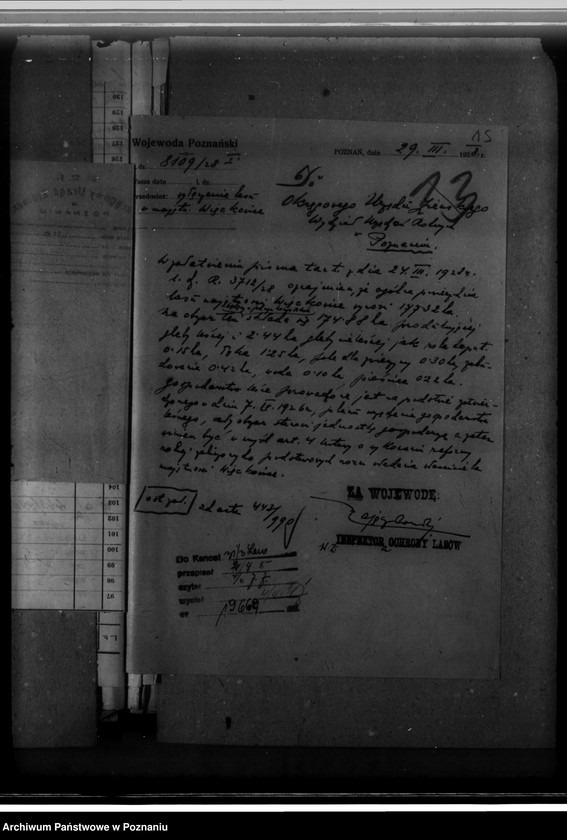 Obraz 19 z jednostki "Majętność leśna Więckowice powiat poznański"