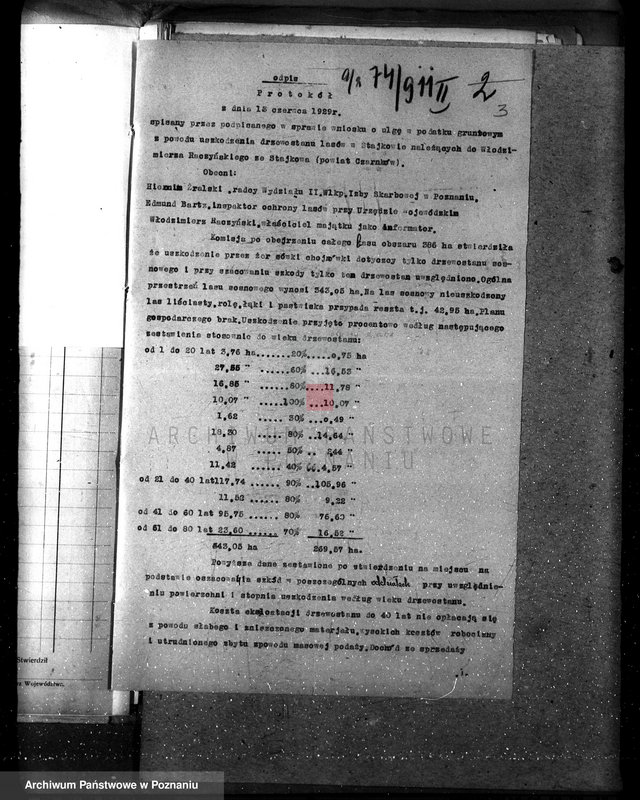 Obraz 8 z jednostki "Nadzór nad gospodarką leśną w lasach majętności Stajkowo powiecie czarnkowskim"