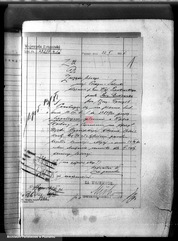 Obraz 5 z jednostki "Majętność leśna Porażyn w powiecie nowotomyskim"