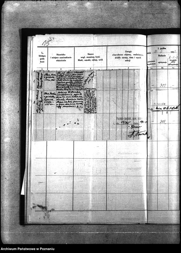 Obraz 19 z jednostki "Nosacizna - Poznań-Zachód"