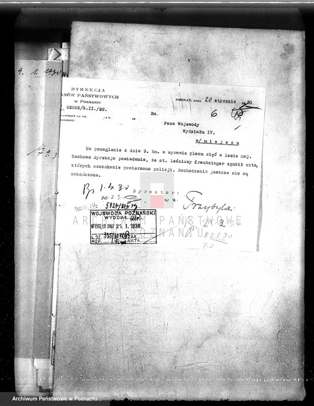 image.from.unit.number "Las majętności Nochowo w powiecie śremskim"