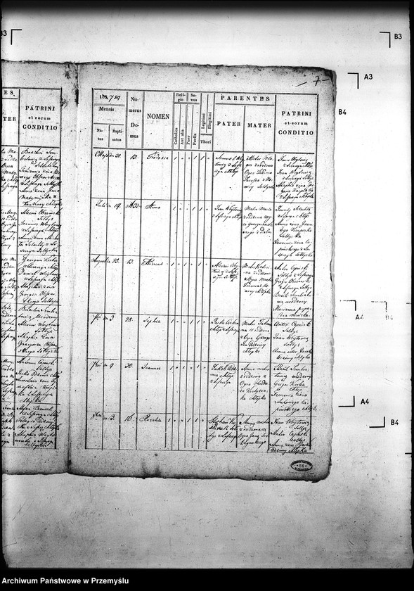 image.from.unit.number "[Kopie ksiąg metrykalnych parafii Leszczyny z filiami Bielanka, Kuńkowa (dekanat Gorlice)]"