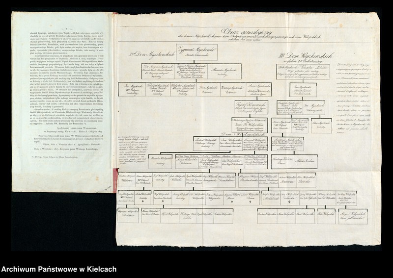 image.from.collection.number "Mapy genealogiczne Myszkowskich, Wielopolskich, wraz z opisem początku Ordynacji"