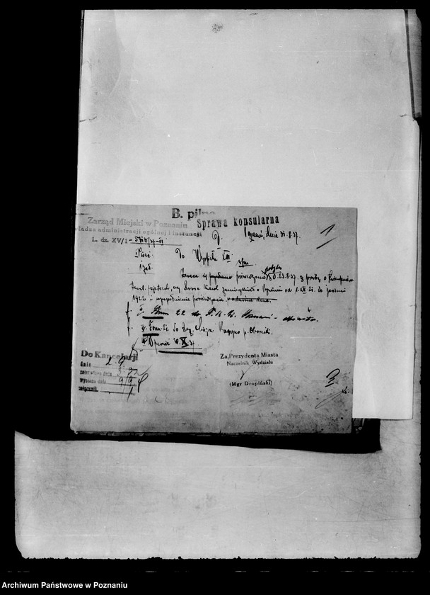 Obraz 5 z jednostki "Karol Rossa /sprawa obywatelstwa/"