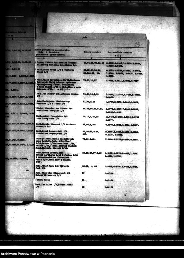 Obraz 19 z jednostki "Regulacja hipoteczna scalonych gruntów Sobiesęki powiatu kaliskiego"