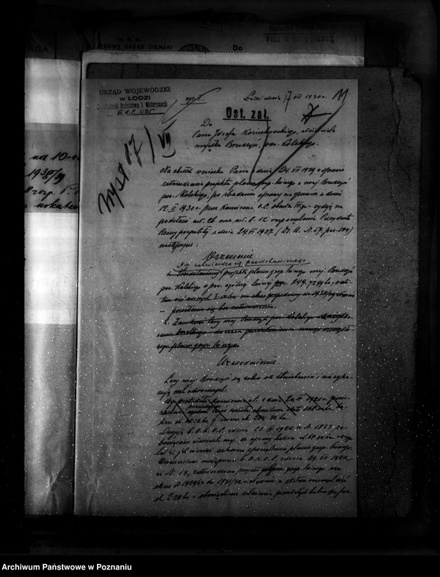 Obraz 15 z jednostki "Zatwierdzenie projektu planu gospodarczego dla lasu majątku Brudzew powiat turecki"