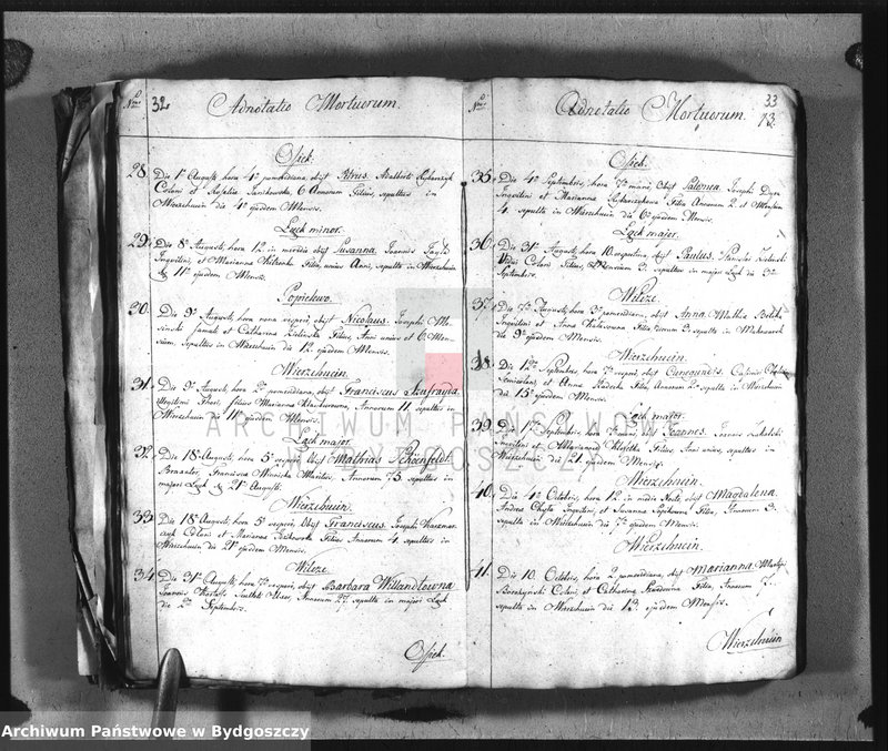 image.from.team "Akta metrykalne parafii rzymskokatolickiej w Wierzchucinie, pow. Bydgoszcz"