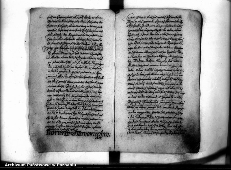 Obraz 10 z jednostki "Inscriptiones [inducta]"