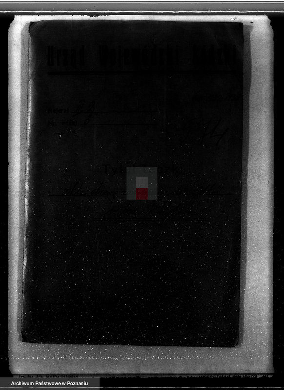 Obraz 4 z jednostki "Zalesienie nieużytków w powiecie kolskim"