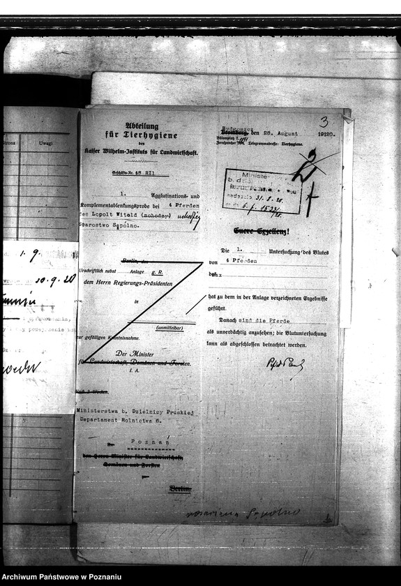 Obraz 7 z jednostki "Nosacizna - Sempolno"