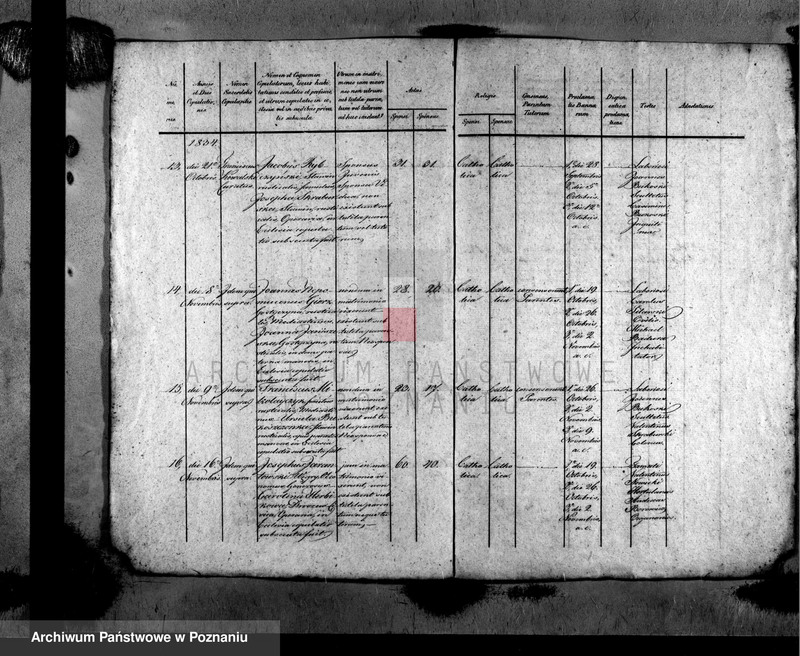 image.from.unit.number "Metrices copulatorum"